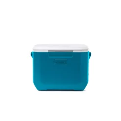 Coleman Chiller™ 16-Quart Portable Cooler 14 Coleman Chiller™ 16-Quart Portable Cooler -Coleman Shop 2160841 6
